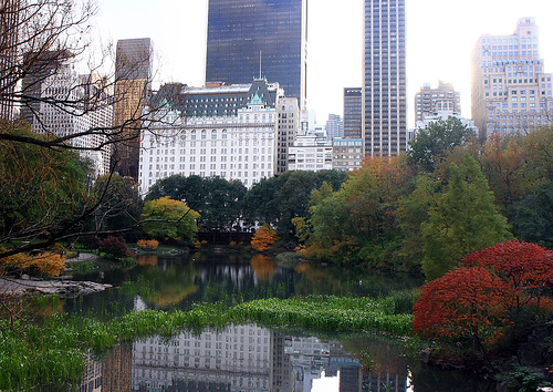 Central Park South in Autumn