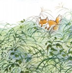 Gon, the Little Fox named 2016 USBBY Outstanding International Book