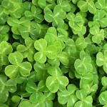 Hearing O’ The Green: A Sip of Irish Sounds For St. Paddy’s Day